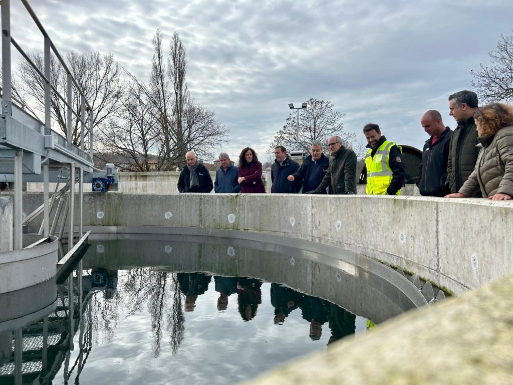 F. depuradora Lagunilla