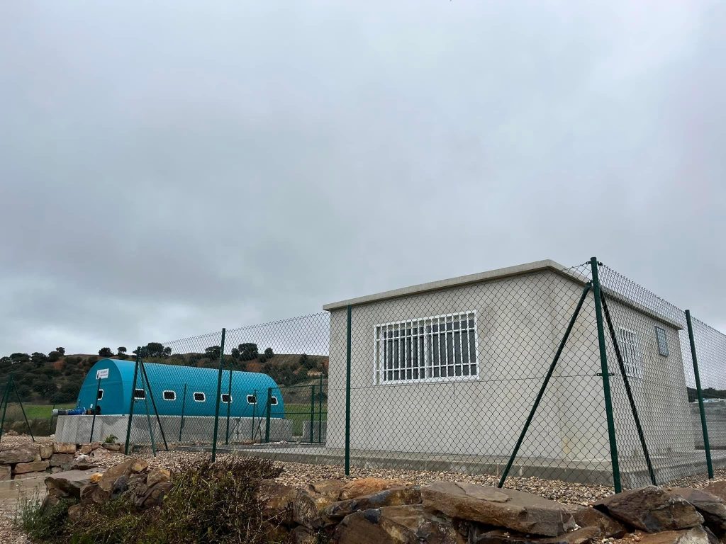 F. depuradora Matilla 1