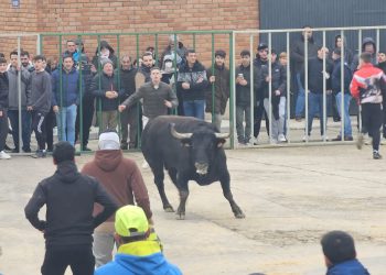 Los aficionados taurinos abarrotan Babilafuente para presenciar el VI Toro de San Blas con Atocha y Antoniano en la calle Soledad