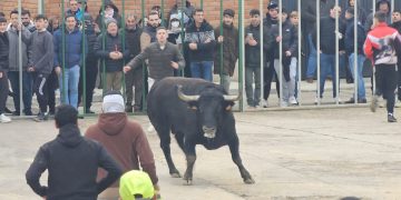 Los aficionados taurinos abarrotan Babilafuente para presenciar el VI Toro de San Blas con Atocha y Antoniano en la calle Soledad