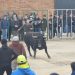 Los aficionados taurinos abarrotan Babilafuente para presenciar el VI Toro de San Blas con Atocha y Antoniano en la calle Soledad