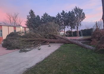 Las rachas de viento dejan su rastro en la comarca y obligan al cierre del parque de Babilafuente donde han caído varios árboles