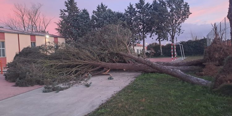 Las rachas de viento dejan su rastro en la comarca y obligan al cierre del parque de Babilafuente donde han caído varios árboles