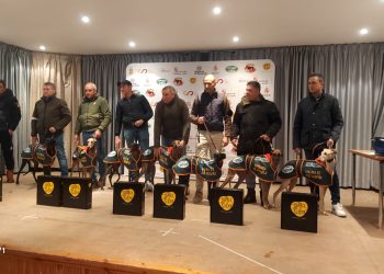 El Nacional de Galgos llega a Nava de Rey con los cuartos de final en los que habrá dos representantes de Castilla y León