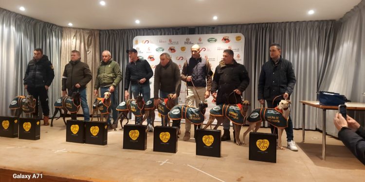 El Nacional de Galgos llega a Nava de Rey con los cuartos de final en los que habrá dos representantes de Castilla y León