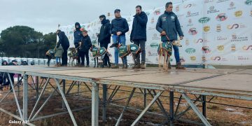 La primera jornada de cuartos en el Nacional de Galgos deja dos colleras pendientes y aplazada la competición de mañana