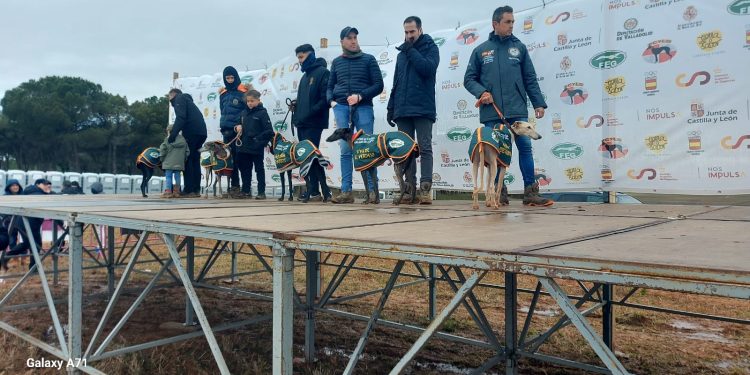 La primera jornada de cuartos en el Nacional de Galgos deja dos colleras pendientes y aplazada la competición de mañana