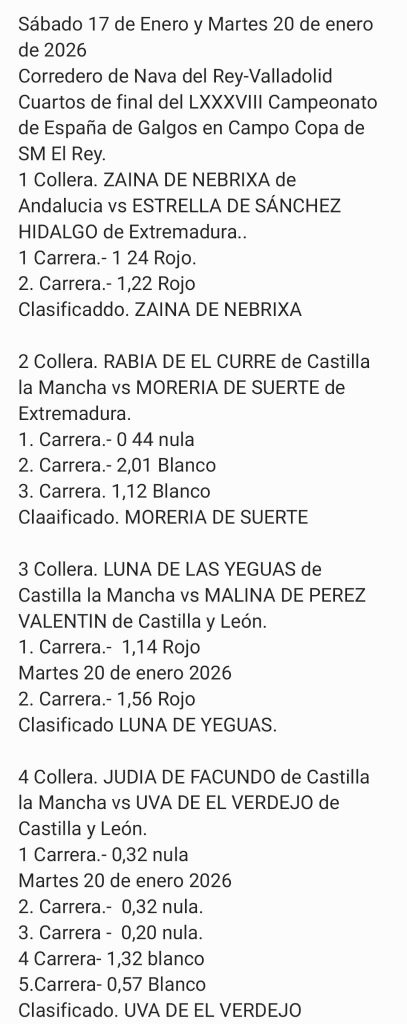 galgos 27