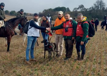Uva de El Verdejo, única representante de Castilla y León en pasar a las semifinales del Campeonato Nacional de Galgos en Campo