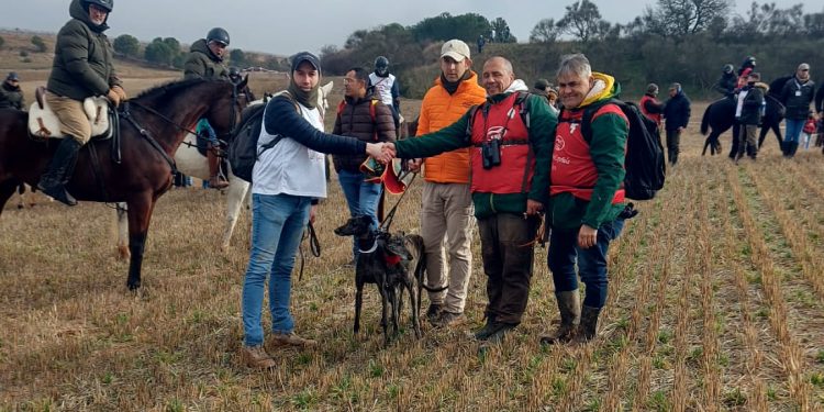 Uva de El Verdejo, única representante de Castilla y León en pasar a las semifinales del Campeonato Nacional de Galgos en Campo