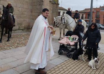 Caballos, perros y hasta una cabra reciben la bendición en la plaza de Macotera y sus dueños los encomiendan a San Antón