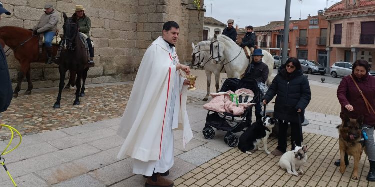 Caballos, perros y hasta una cabra reciben la bendición en la plaza de Macotera y sus dueños los encomiendan a San Antón