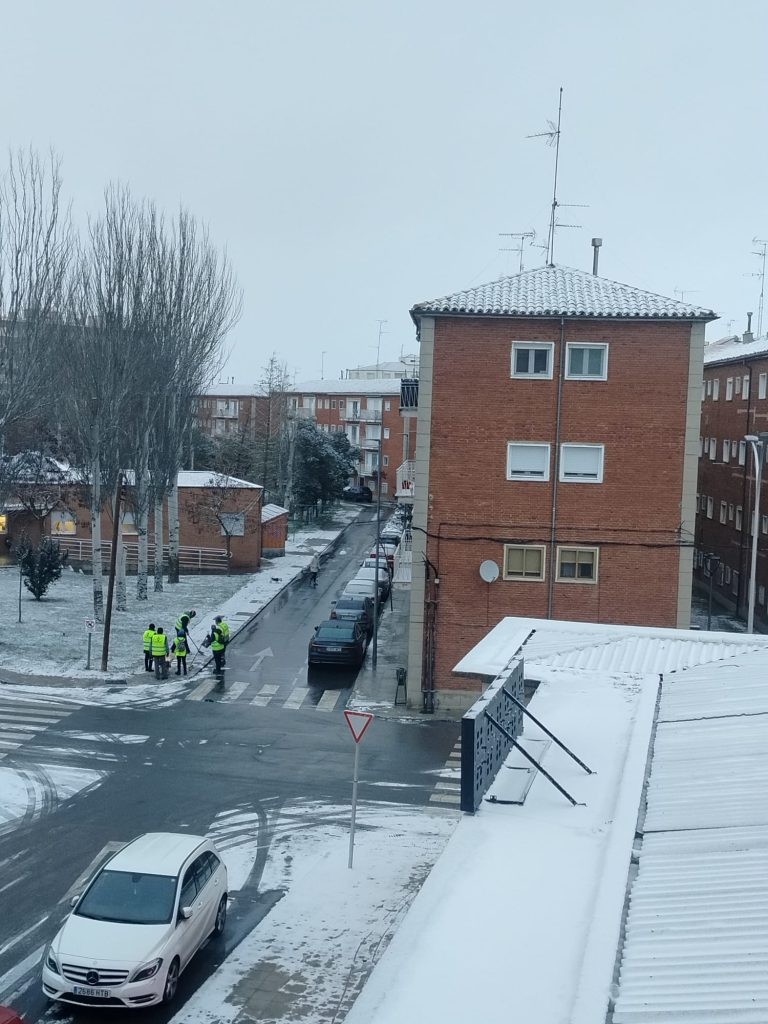 nieve 14