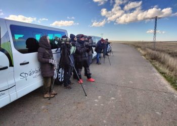 Spainbirds, gran referente en viajes ornitológicos, pone el punto de mira en el azud de Riolobos y lo incluye en sus visitas organizadas