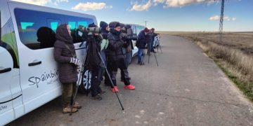 Spainbirds, gran referente en viajes ornitológicos, pone el punto de mira en el azud de Riolobos y lo incluye en sus visitas organizadas