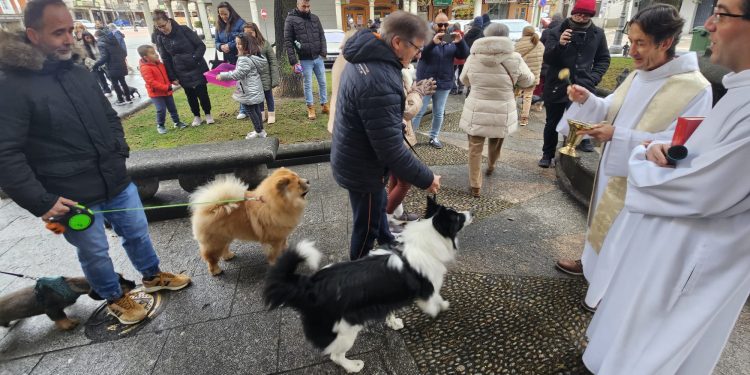 Peñaranda celebra la festividad de San Antón con la bendición de las mascotas en la plaza de Agustín Martínez Soler