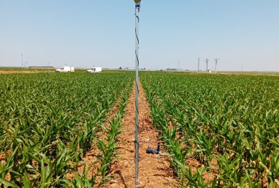 Vegas del Almar: innovación y eficiencia en el regadío gracias al PERTE del Ciclo del Agua financiado por la Unión Europea