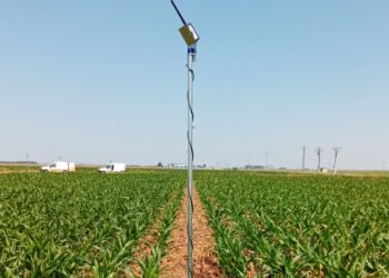 Vegas del Almar: innovación y eficiencia en el regadío gracias al PERTE del Ciclo del Agua financiado por la Unión Europea