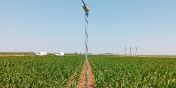 Vegas del Almar: innovación y eficiencia en el regadío gracias al PERTE del Ciclo del Agua financiado por la Unión Europea