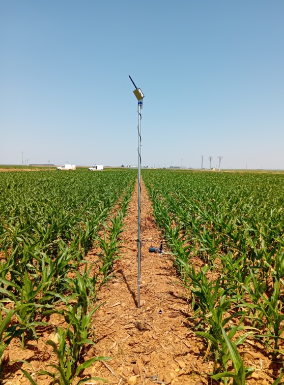 Sonda de humedad con telecontrol CCRR Vegas del Almar 2