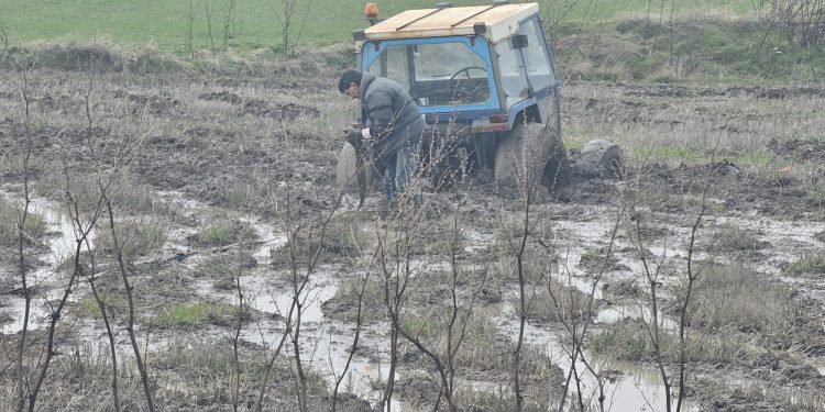 Así están las tierras tras las lluvias: un tractor hundido hasta la cabina en Peñaranda y patos nadando en las balsas de agua
