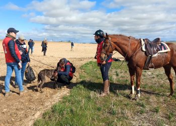 Zaína de Nebrisa (Andalucía) y Uva del Verdejo (Castilla y León) se jugarán la manteleta de España en la final del Nacional de Galgos