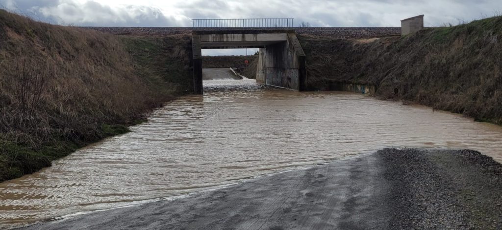 grullero 1 e1770316051236