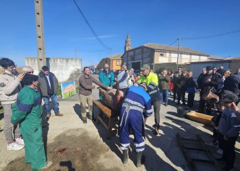 El esperado sol anima la matanza en Palaciosrubios con un gran ambiente y hasta con lanzamiento de boina para los «peques»