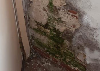 Peñaranda en Común reclama un mantenimiento de las instalaciones municipales y denuncia el estado del «Mercarural»