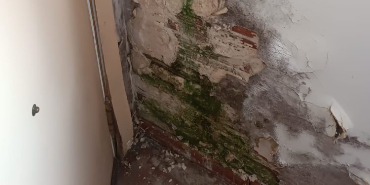 Peñaranda en Común reclama un mantenimiento de las instalaciones municipales y denuncia el estado del «Mercarural»