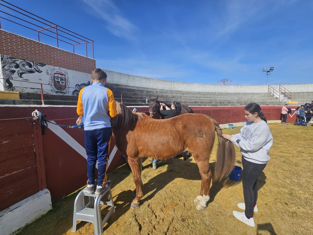 caballos 5