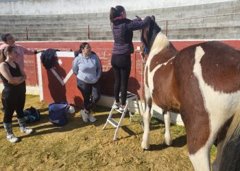 Los caballos de Las Villas se ponen guapos en Villoria: la plaza de toros La Vega acoge un curso de trenzado y recogido equino