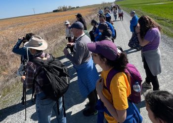 Una ruta guiada por Riolobos pone el broche a las jornadas sobre el azud con la mirada puesta en un prometedor futuro para la zona