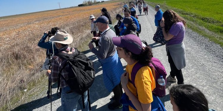 Una ruta guiada por Riolobos pone el broche a las jornadas sobre el azud con la mirada puesta en un prometedor futuro para la zona