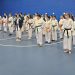 La IV edición del Open de Karate «Ciudad de Peñaranda» reúne a 123 participantes en una intensa jornada deportiva en el pabellón