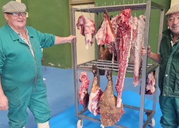 Macotera vive la IX edición de la matanza tradicional al compás de la dulzaina y de nuevo «a cubierto» en el pabellón por la lluvia