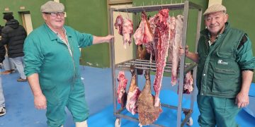 Macotera vive la IX edición de la matanza tradicional al compás de la dulzaina y de nuevo «a cubierto» en el pabellón por la lluvia