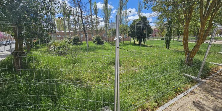 La zona «selvática» y vallada en el parque peñarandino de Los Jardines: el Ayuntamiento asegura que pertenece a la Junta