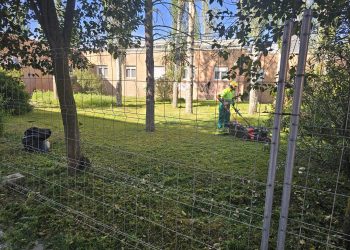 La Junta se pone manos a la obra y adecenta la parte del parque de Los Jardines que le corresponde en Peñaranda