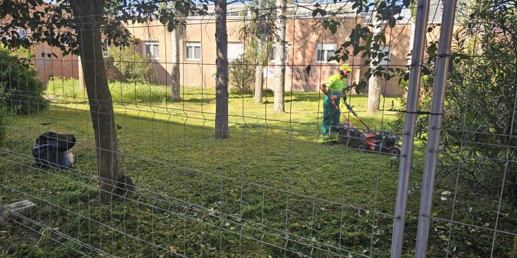 La Junta se pone manos a la obra y adecenta la parte del parque de Los Jardines que le corresponde en Peñaranda