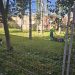 La Junta se pone manos a la obra y adecenta la parte del parque de Los Jardines que le corresponde en Peñaranda