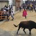 Multitudinario Toro del Voto en las fiestas de Villoria con Tachado y Comilón como reclamo para cientos de aficionados taurinos