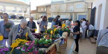 Concurrido rastrillo solidario en Villoruela con venta de plantas y repostería casera para ayudar a la labor de la ONG Acción Verapaz