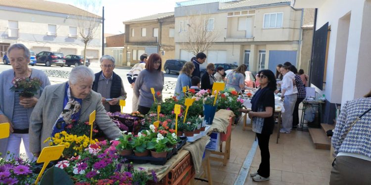 Concurrido rastrillo solidario en Villoruela con venta de plantas y repostería casera para ayudar a la labor de la ONG Acción Verapaz