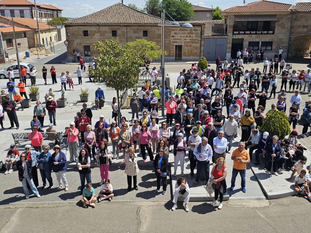babimarcha 8