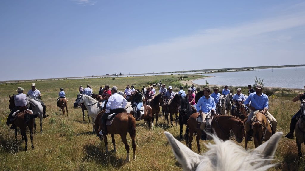 caballos 10