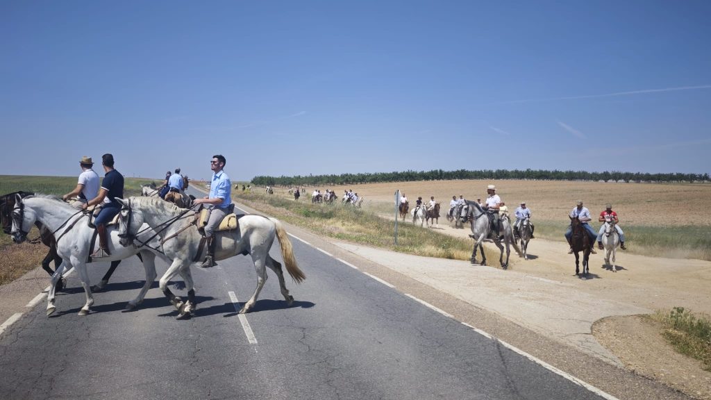 caballos 12