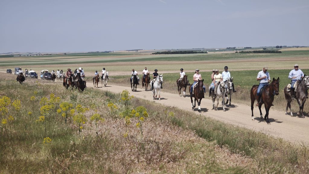 caballos 8