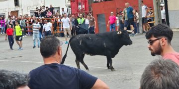 Cantalpino celebra este fin de semana sus fiestas con actos religiosos, comida popular y la IX edición del Toro de San Isidro