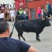 Cantalpino celebra este fin de semana sus fiestas con actos religiosos, comida popular y la IX edición del Toro de San Isidro